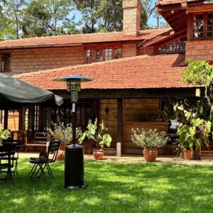 Mushroom Patio Heater