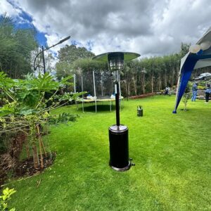 Mushroom Gas Patio Heater