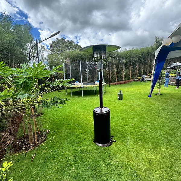 Mushroom Gas Patio Heater