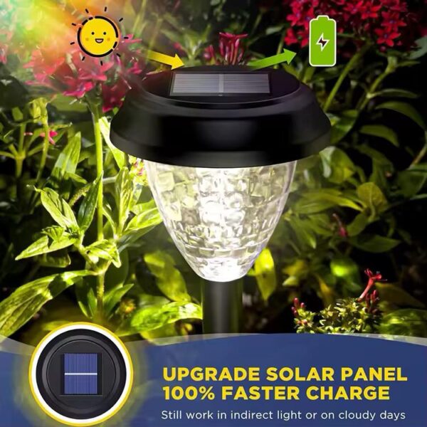 Security Solar Light
