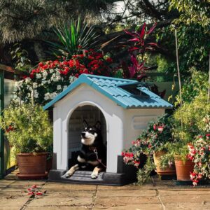 Small Outdoor Dog House